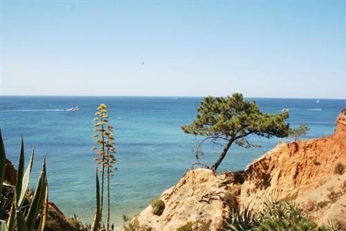 Apartamento Almerinda Appartement